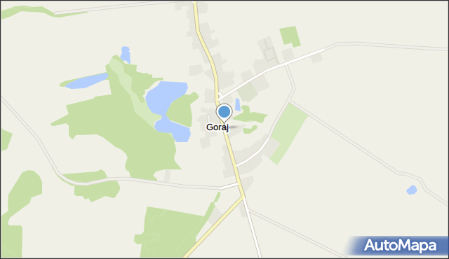 Goraj gmina Przytoczna, Goraj, mapa Goraj gmina Przytoczna