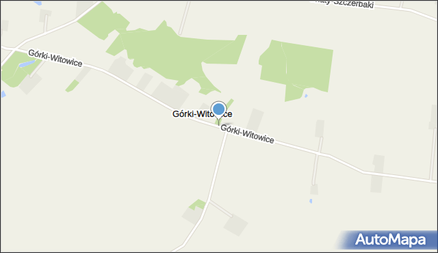 Górki-Witowice, Górki-Witowice, mapa Górki-Witowice