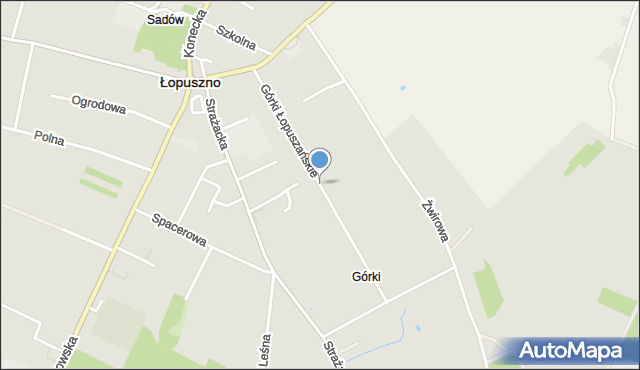 Łopuszno, Górki Łopuszańskie, mapa Łopuszno