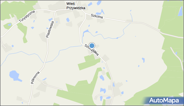 Nowa Wieś Przywidzka, Gołębia, mapa Nowa Wieś Przywidzka