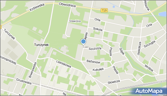 Podkowa Leśna, Gołębia, mapa Podkowa Leśna