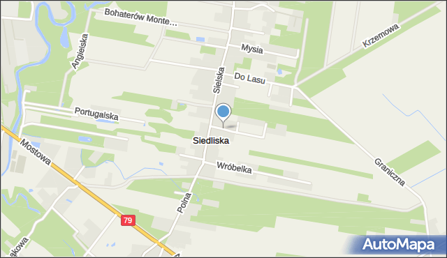 Siedliska gmina Piaseczno, Gołębia, mapa Siedliska gmina Piaseczno