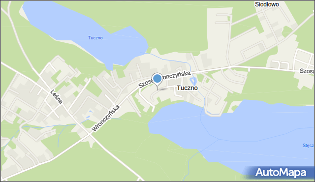 Stęszewko, Goździkowa, mapa Stęszewko