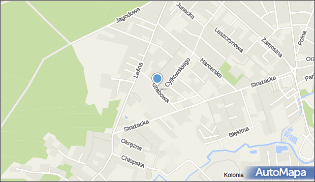 Bolszewo, Grabowa, mapa Bolszewo