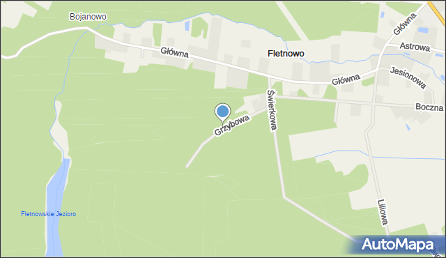 Fletnowo, Grzybowa, mapa Fletnowo