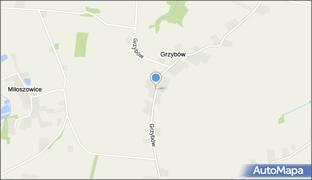 Grzybów gmina Bogoria, Grzybów, mapa Grzybów gmina Bogoria