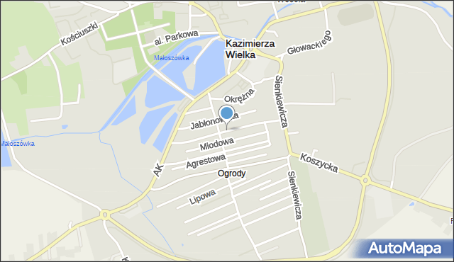 Kazimierza Wielka, Gruszkowa, mapa Kazimierza Wielka