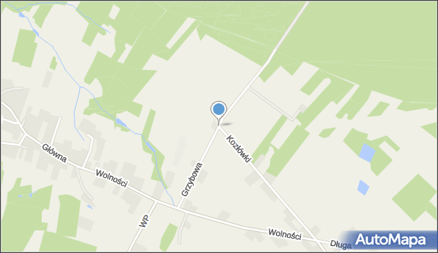 Łańce, Grzybowa, mapa Łańce