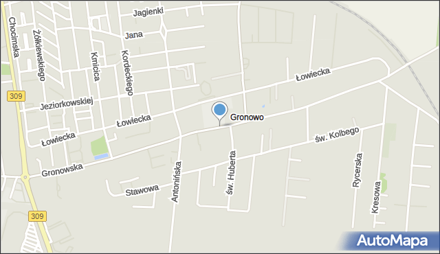 Leszno, Gronowska, mapa Leszno