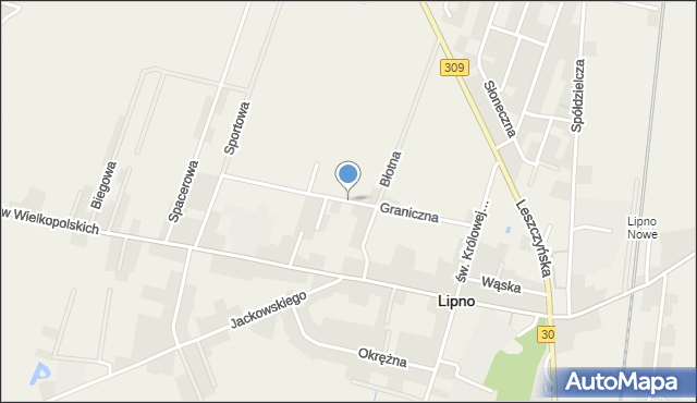 Lipno powiat leszczyński, Graniczna, mapa Lipno powiat leszczyński