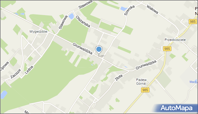 Padew Narodowa, Grunwaldzka, mapa Padew Narodowa