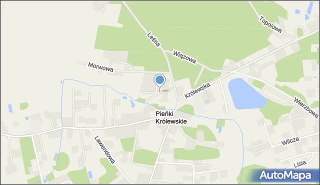 Pieńki Królewskie, Grabowa, mapa Pieńki Królewskie