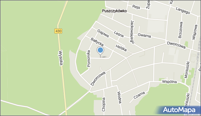 Puszczykowo powiat poznański, Grunwaldzka, mapa Puszczykowo powiat poznański