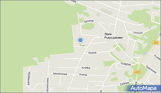 Puszczykowo powiat poznański, Grzybowa, mapa Puszczykowo powiat poznański