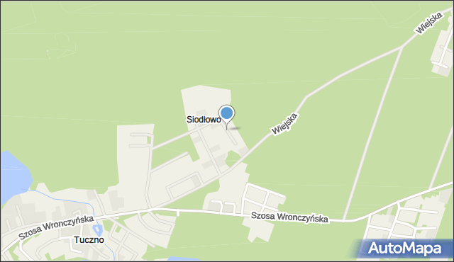 Stęszewko, Grzybowa, mapa Stęszewko