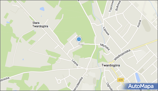 Twardogóra, Grzybowa, mapa Twardogóra