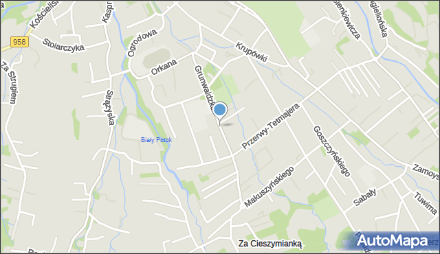 Zakopane, Grunwaldzka, mapa Zakopanego