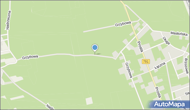 Żarki-Letnisko, Grzybowa, mapa Żarki-Letnisko