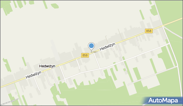 Hedwiżyn, Hedwiżyn, mapa Hedwiżyn