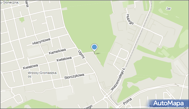 Toruń, Hetmańska, mapa Torunia