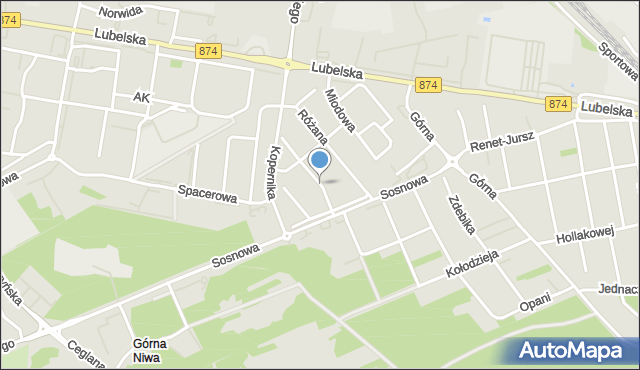 Puławy, Irysowa, mapa Puław