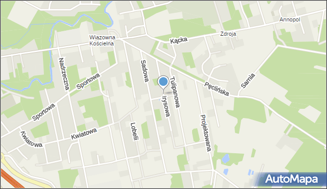 Wiązowna, Irysowa, mapa Wiązowna