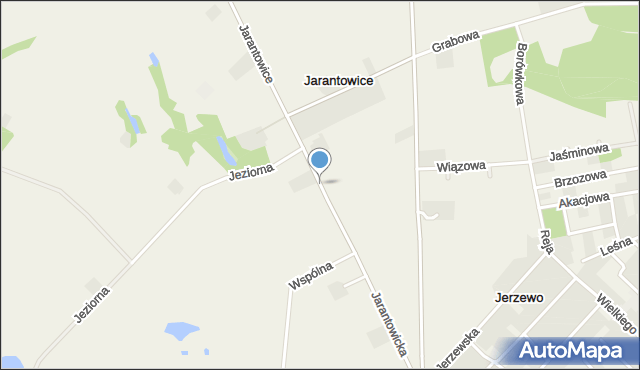 Jarantowice gmina Choceń, Jarantowicka, mapa Jarantowice gmina Choceń