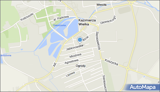 Kazimierza Wielka, Jabłonowska, mapa Kazimierza Wielka