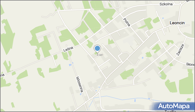 Leoncin, Jasna, mapa Leoncin