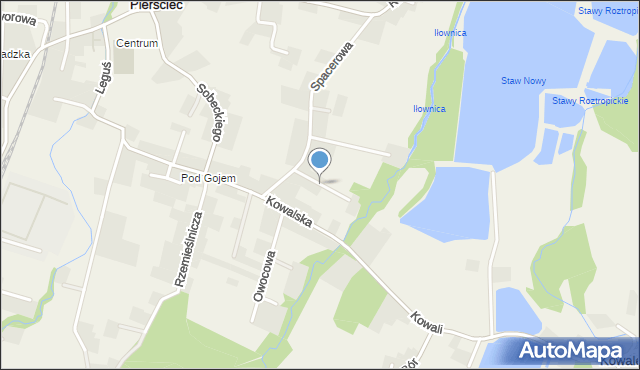 Pierściec, Jasna, mapa Pierściec