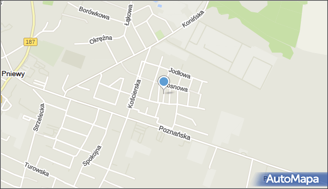 Pniewy powiat szamotulski, Jarzębinowa, mapa Pniewy powiat szamotulski