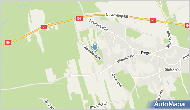 Regut, Jarzębinowa, mapa Regut