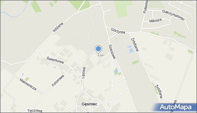 Strzelin, Jaworowa, mapa Strzelin