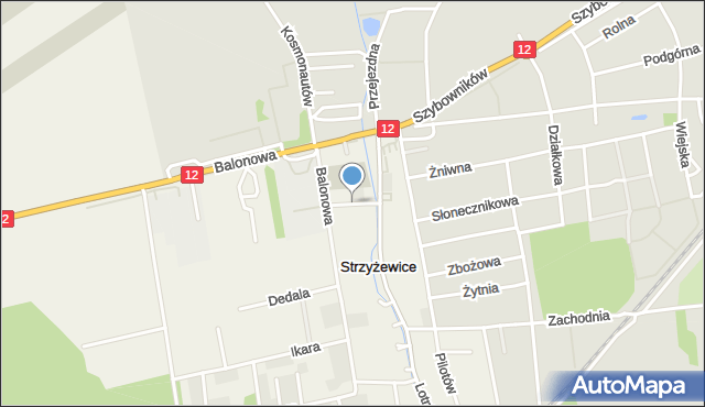 Strzyżewice gmina Święciechowa, Jantara, mapa Strzyżewice gmina Święciechowa