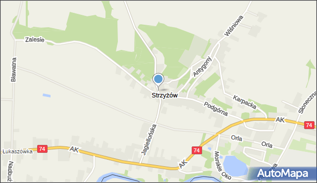 Strzyżów gmina Horodło, Jagiellońska, mapa Strzyżów gmina Horodło