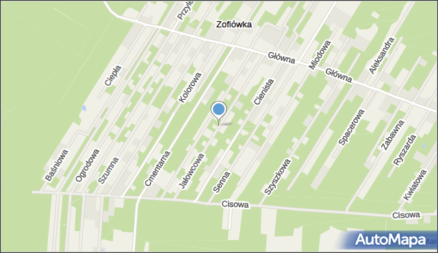 Zofiówka gmina Tuszyn, Jałowcowa, mapa Zofiówka gmina Tuszyn