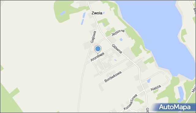 Zwola gmina Zaniemyśl, Jagodowa, mapa Zwola gmina Zaniemyśl