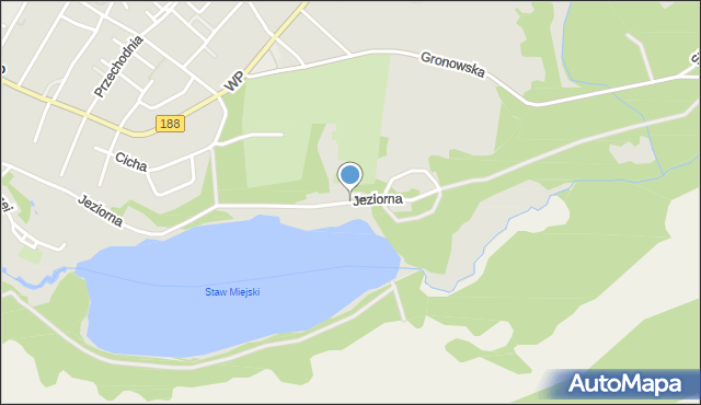 Debrzno, Jeziorna, mapa Debrzno