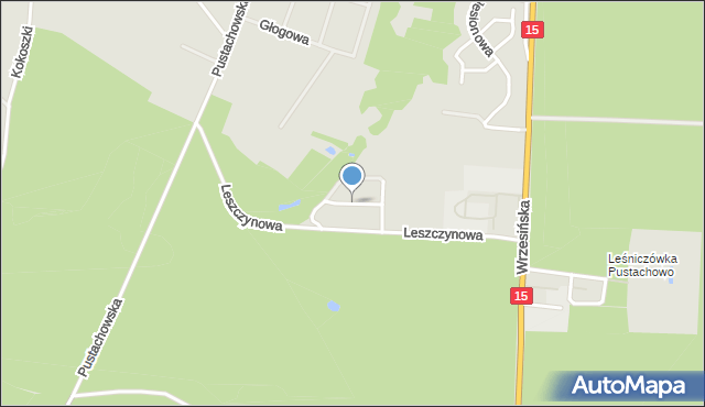 Gniezno, Jemiołowa, mapa Gniezna