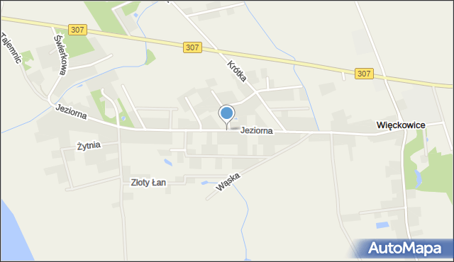 Więckowice gmina Dopiewo, Jeziorna, mapa Więckowice gmina Dopiewo