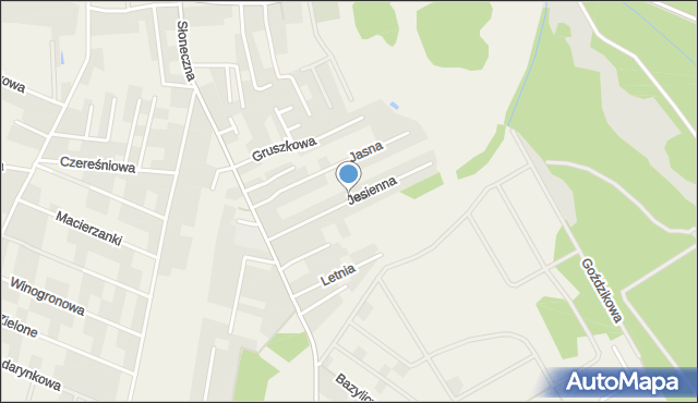 Wołczkowo, Jesienna, mapa Wołczkowo