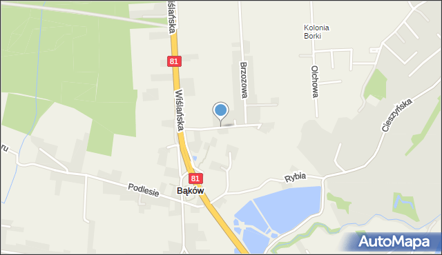 Zbytków, Jesionowa, mapa Zbytków