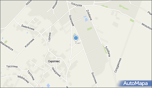 Gęsiniec, Jodłowa, mapa Gęsiniec