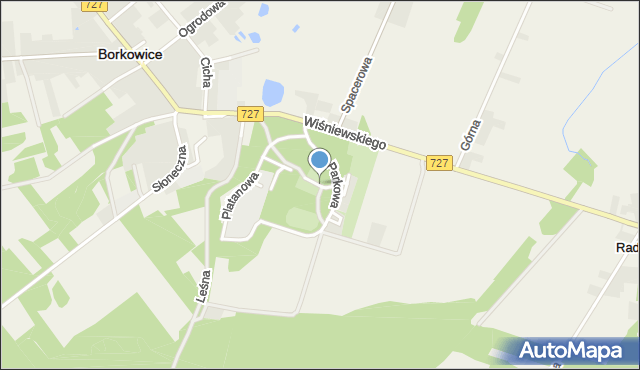 Borkowice powiat przysuski, Kasztanowa, mapa Borkowice powiat przysuski