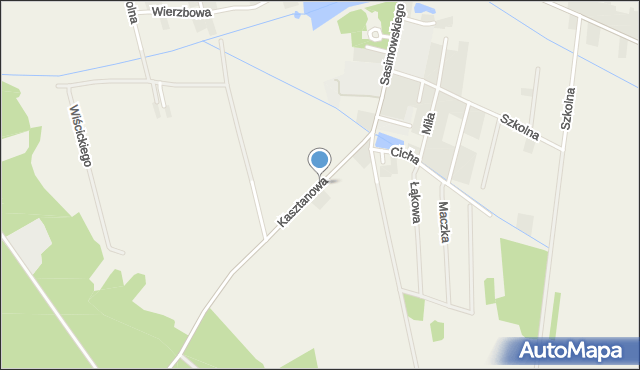 Borowie, Kasztanowa, mapa Borowie