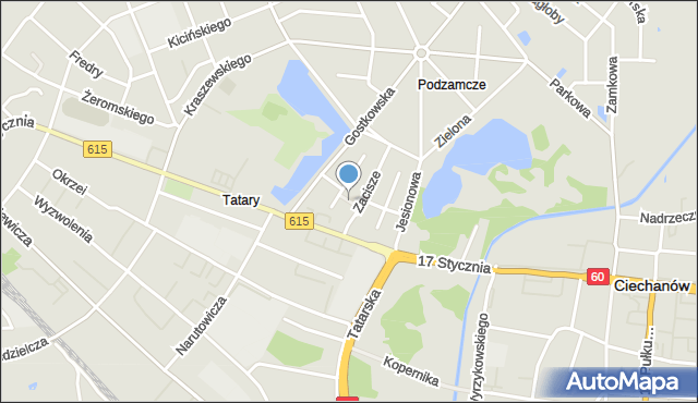 Ciechanów, Kasztanowa, mapa Ciechanów