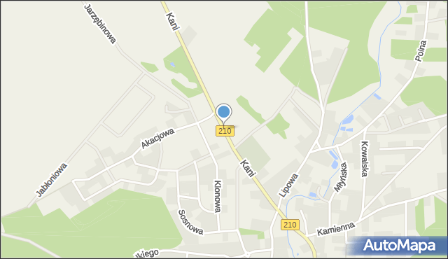 Dębnica Kaszubska, Kani Antoniego, ks., mapa Dębnica Kaszubska