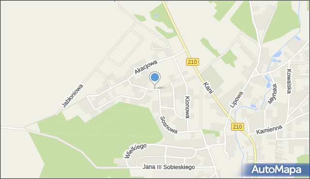 Dębnica Kaszubska, Kasztanowa, mapa Dębnica Kaszubska