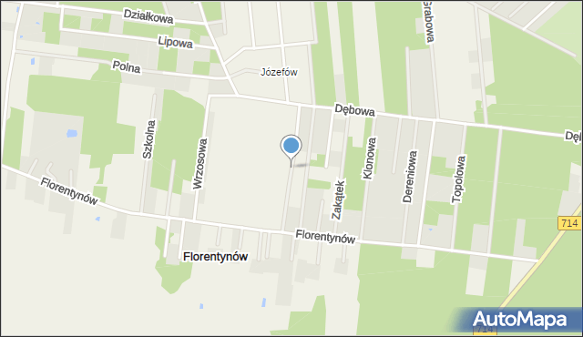 Florentynów gmina Lutomiersk, Kasztanowa, mapa Florentynów gmina Lutomiersk