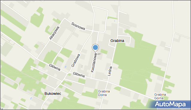 Grabina gmina Nowosolna, Kasztanowa, mapa Grabina gmina Nowosolna